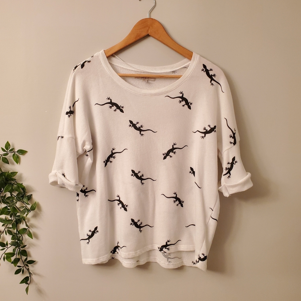 Zara Salamander Top